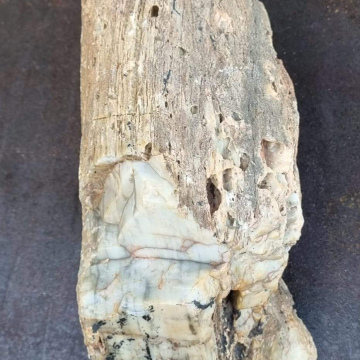 Opalized Petrified Wood 10kg