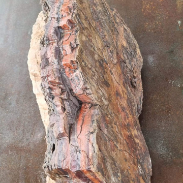 Jasperized Petrified Wood 18kg