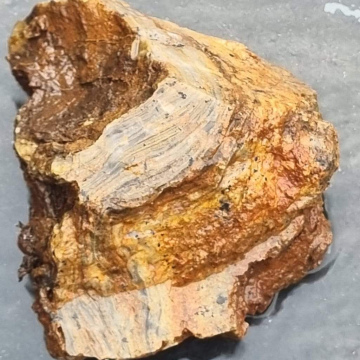 Stromatolite 939 g