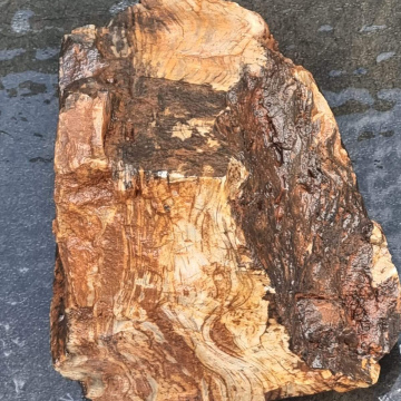 Petrified Wood Green 4300g