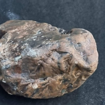 Petrified Wood Green 445g