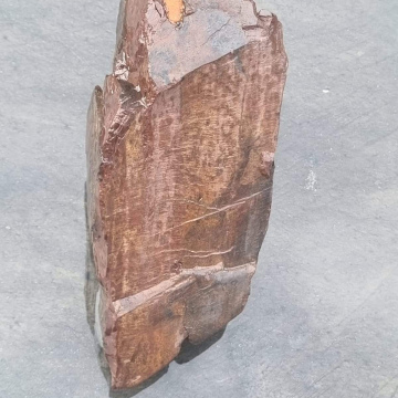 Petrified Wood Jasperized 1472g