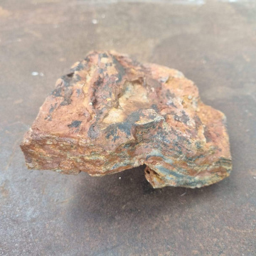 Agatized Wood Green Fish Tank small 1554g 