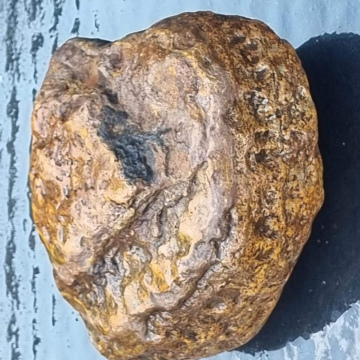Stromatolite 1049g 