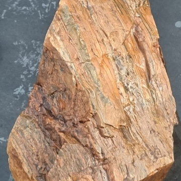 Petrified wood tiger eye 4600 grams