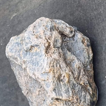 Petrified Wood Green 1524g