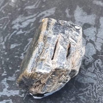  Petrified Wood Green 125g