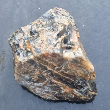 Petrified Wood Green 894g