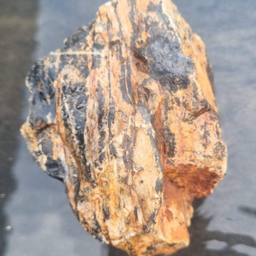 Stromatolite 890g