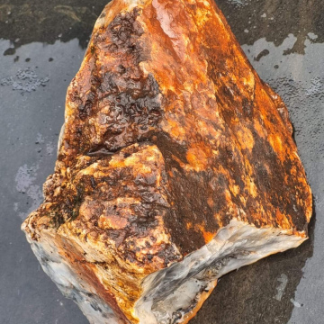  Dendritic Agate 3200g