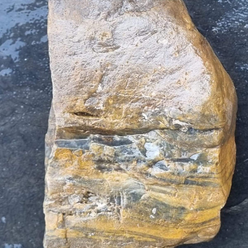 Petrified Wood Green 964g