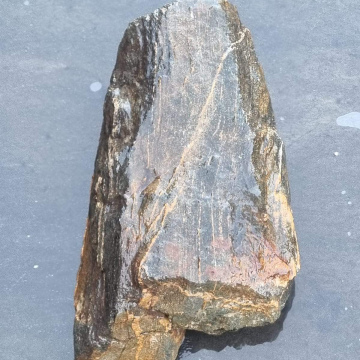 Petrified Wood Green 1619g