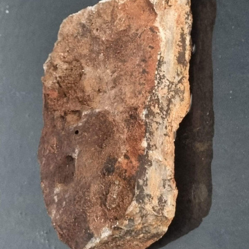 Stromatolite 1157 g