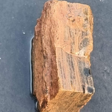 Petrified Wood Tiger Eye 217g