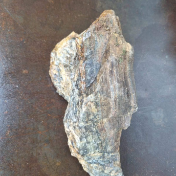 Petrified Wood Fish Tank medium 2676 g