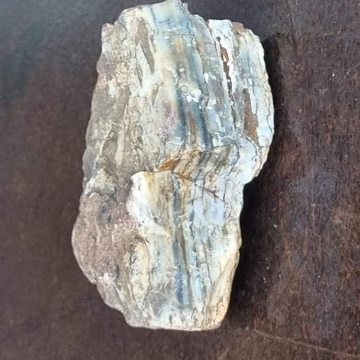 Stromatolite 332 g