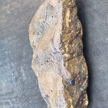 Petrified Wood Green 1014g